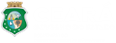 SDE